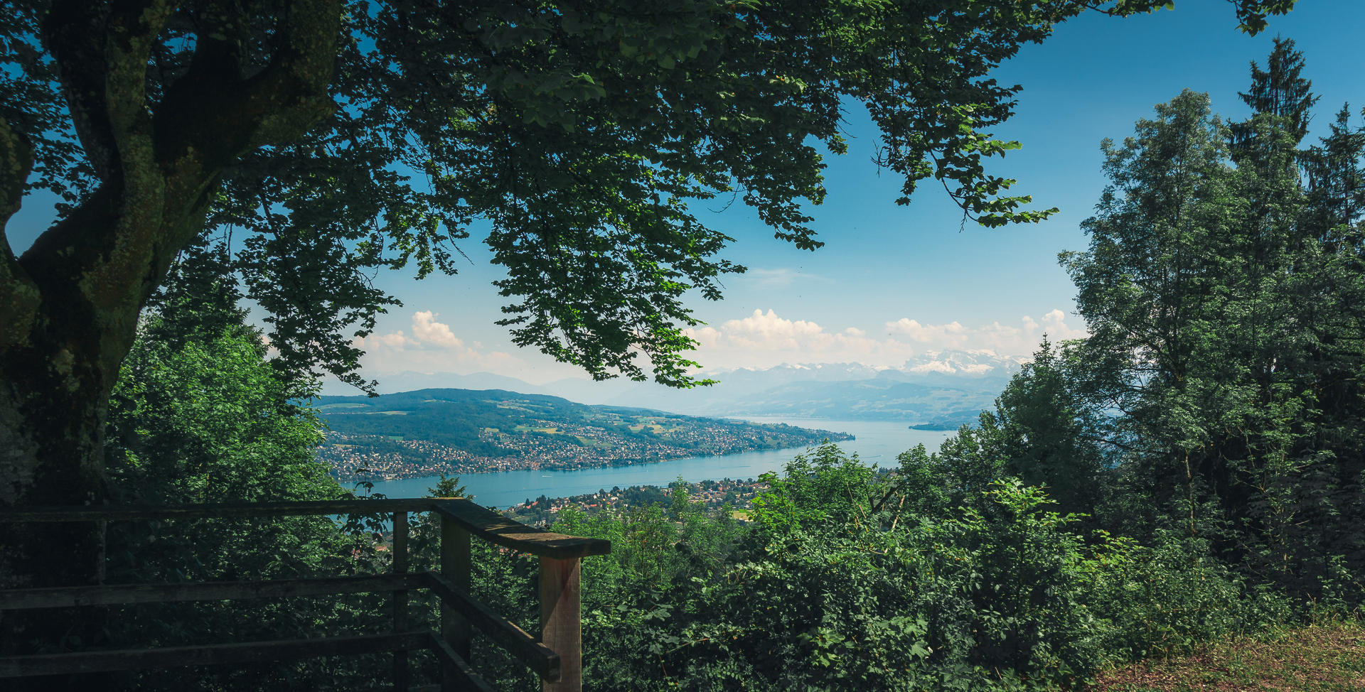 Uetliberg view